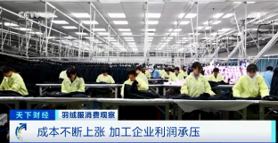 羽絨服輪番漲價 中高端產(chǎn)品還賣得更火了？